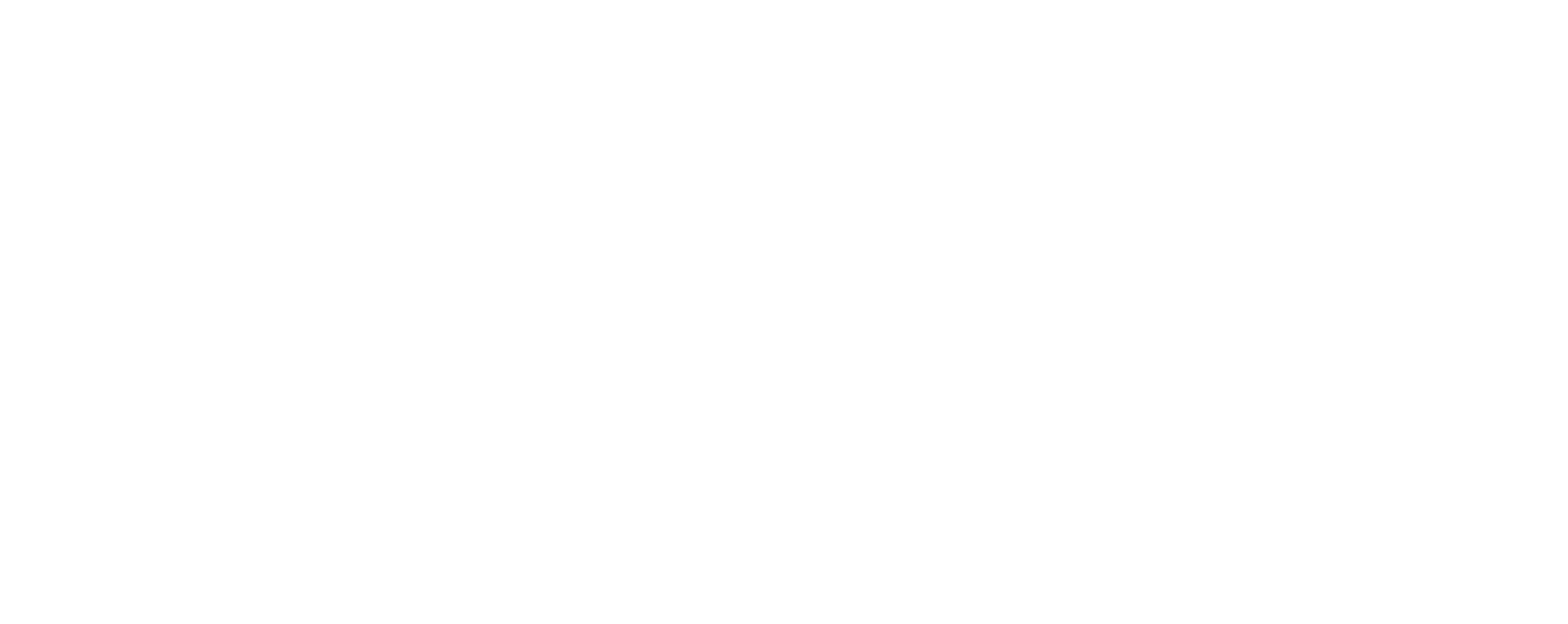 Festa